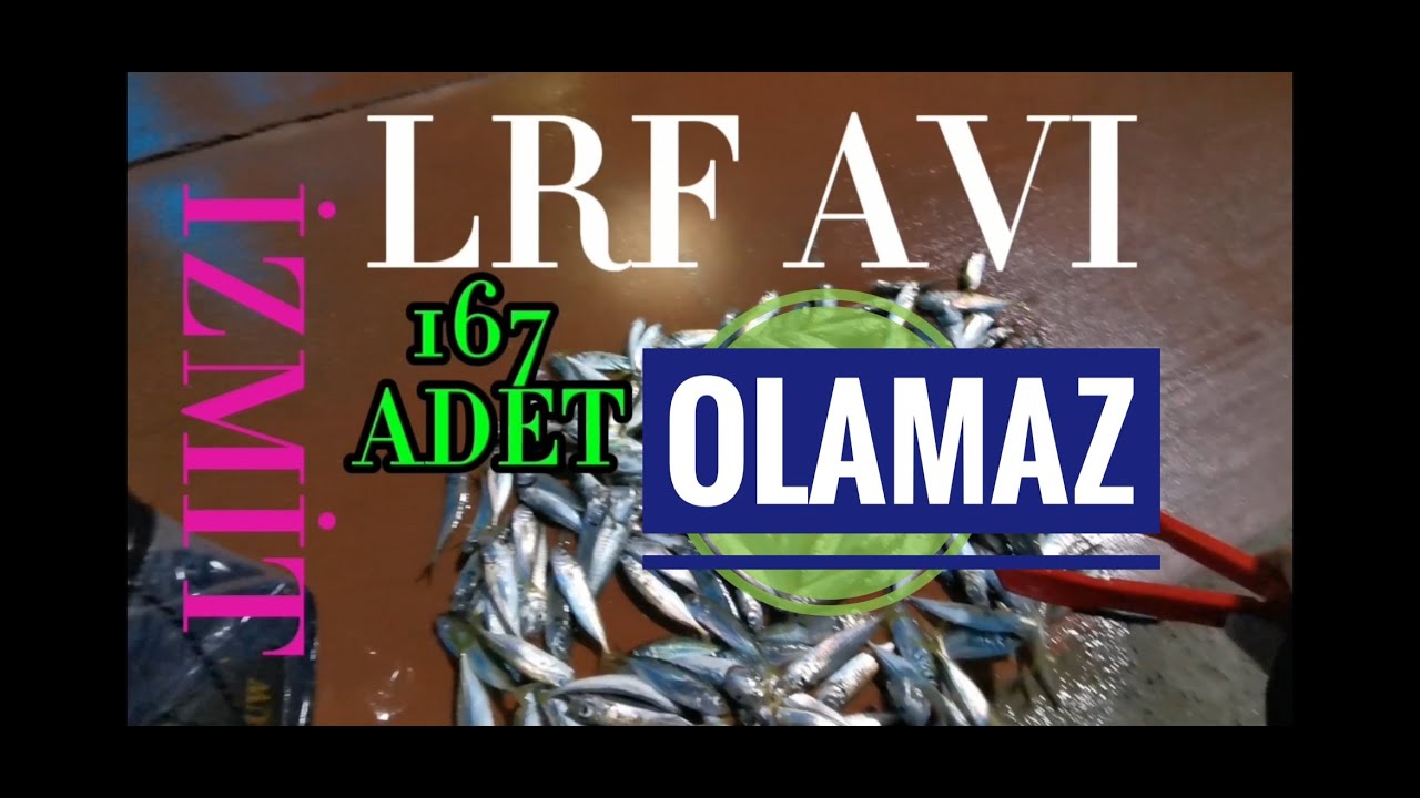 OLAMAZZZ OLAMAZZZ ! ! LRF TAKIMLARI İLE TEK KİŞİLİK İSTAVRİT AVI - 167 BALIK İÇİN REÇETE VİDEODA...