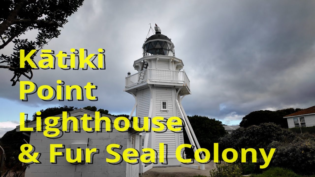 🦭 Kātiki Point Lighthouse & Fur Seal Colony | New Zealand Travel Guide 🦭