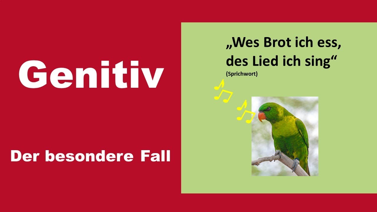 Der Genitiv   (B1-B2)