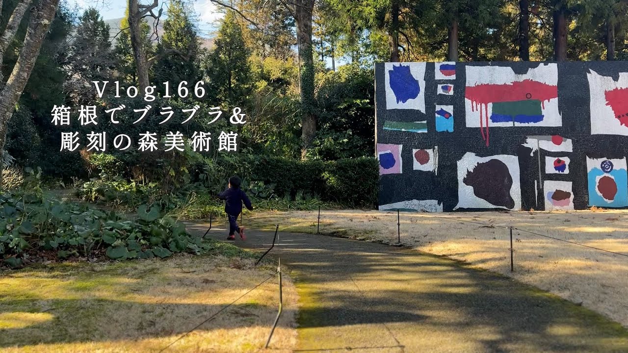 ロマンスカーに乗って箱根へ  | 4歳・0歳と箱根小旅行  Vlog166