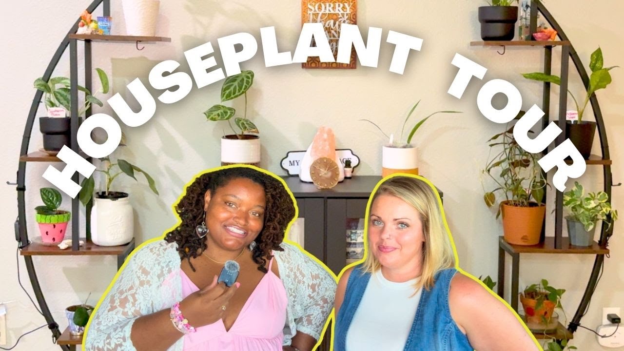 HOUSEPLANT TOUR 2025 | over 60 plants in a single family home