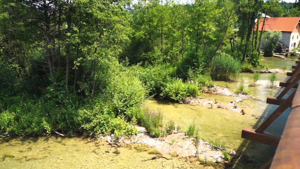 River Mreznica