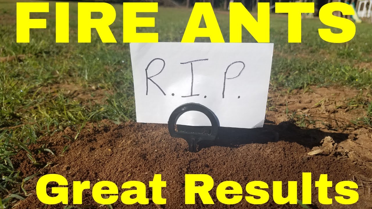 Fire Ant Killer That Works Great - Kill Fire Ants Fast