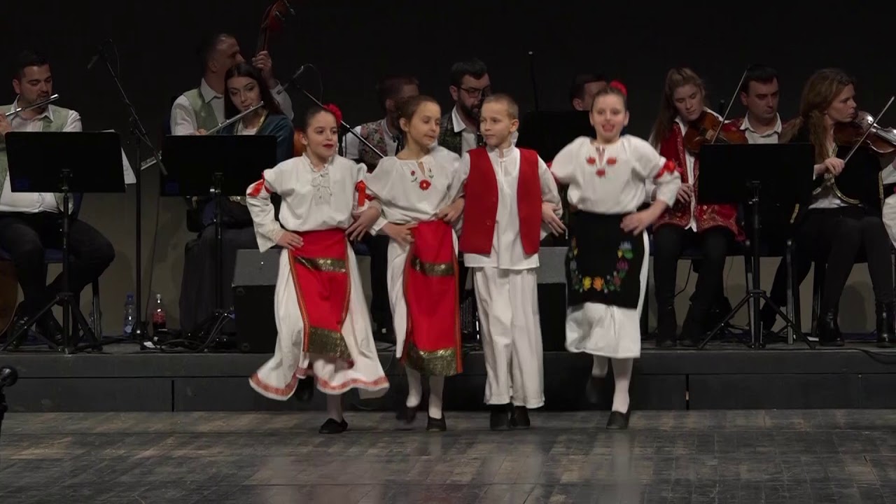 Divan je kićeni Srem - škole folklora