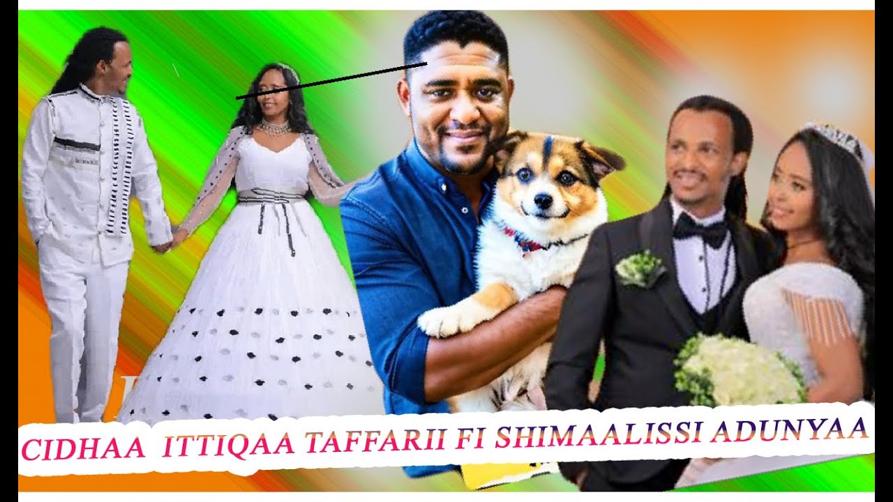 Cidhaa #Ittiqaa Taffarii fi #Shimallis Abdissaa
