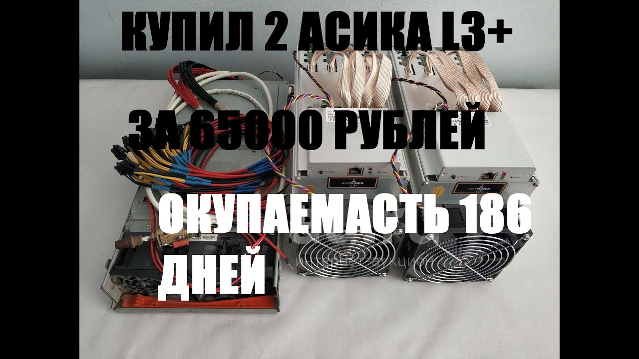 КУПИЛ 2 АСИКА L3+ ОКУП 3А 186 ДНЕЙ