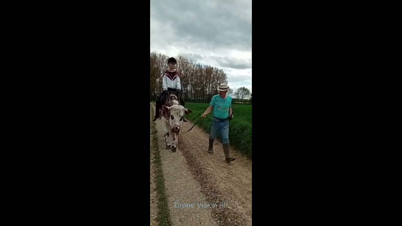 Theo débourrage avril 2025