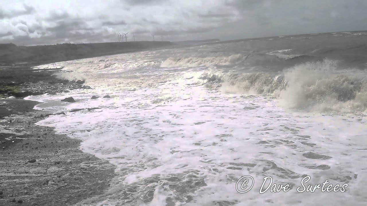 Harrington - Through My Eyes