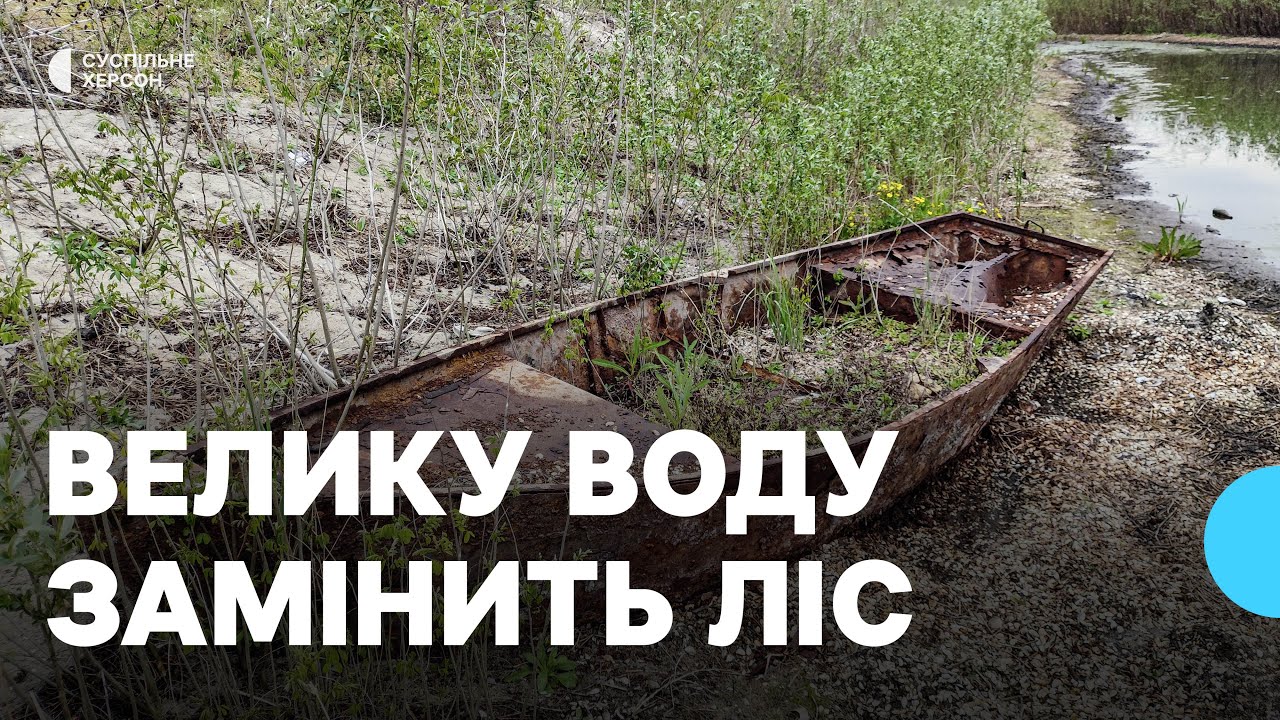 Ліс замість води: дно Каховського водосховища через два роки після теракту