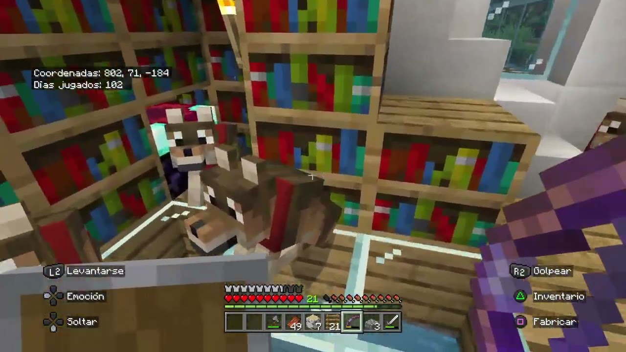 Construyendo mi nueva casa parte 2