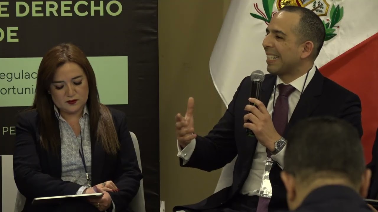 Congreso ASIDE 2025 / Lima, Perú - Panel 4