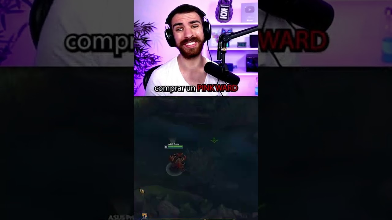 🛄 CUANDO ROAMEAR de SUPPORT