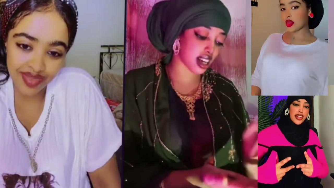 Dabboon AI irraattii dingata dalagamuu egalee jira 