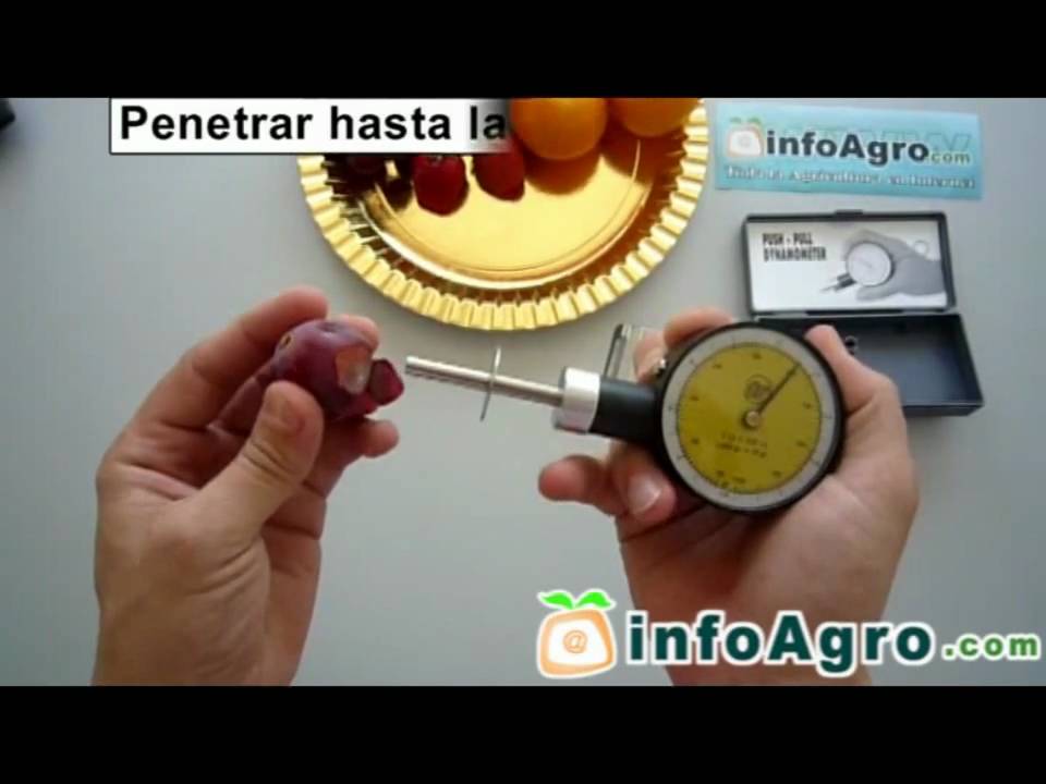 Penetrómetro para fruta. Cómo utilizar el medidor de dureza y calidad de la fruta