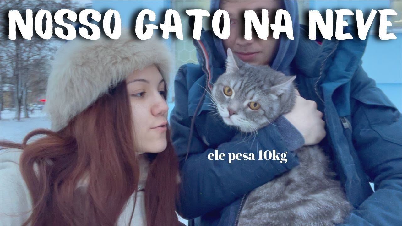 VIDA NA RUSSIA - levei o gato no veterinário no meio da neve 🇷🇺❄️