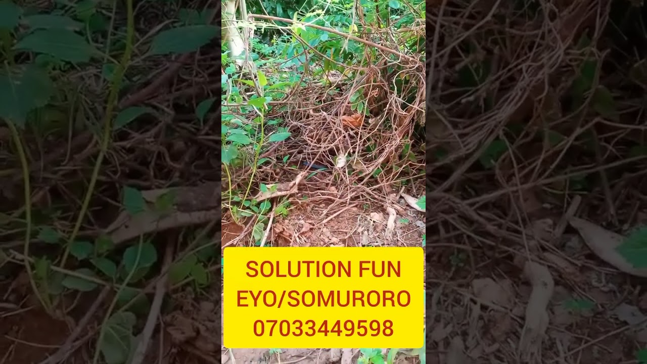 SOLUTION FUN EYO/SOMURORO
