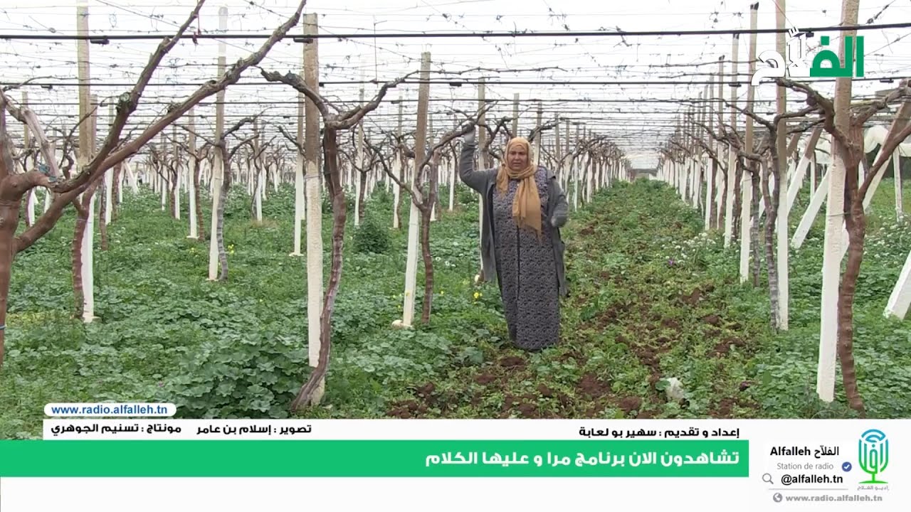 Alfallehامراة و عليها الكلام  زارعة الاشجار المثمرة |الفلاّح