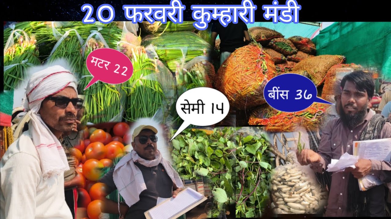 ‼️ ये क्या हो रहा है मंडी में ‼️#sabji #vlog #vegitablemarket #sabjimandi #kumharimandi 