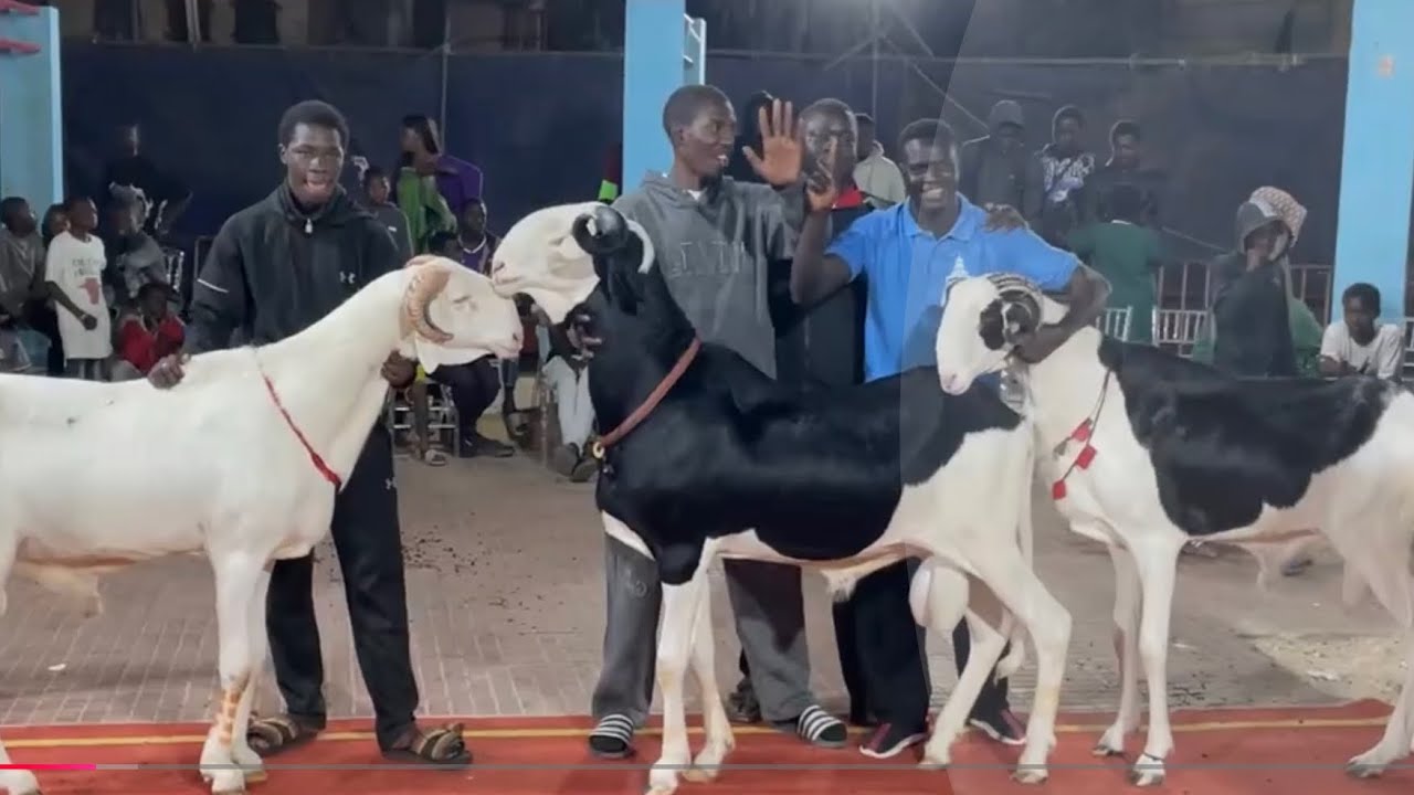 BOGOTA CHAMPION ESPOIR ADEB