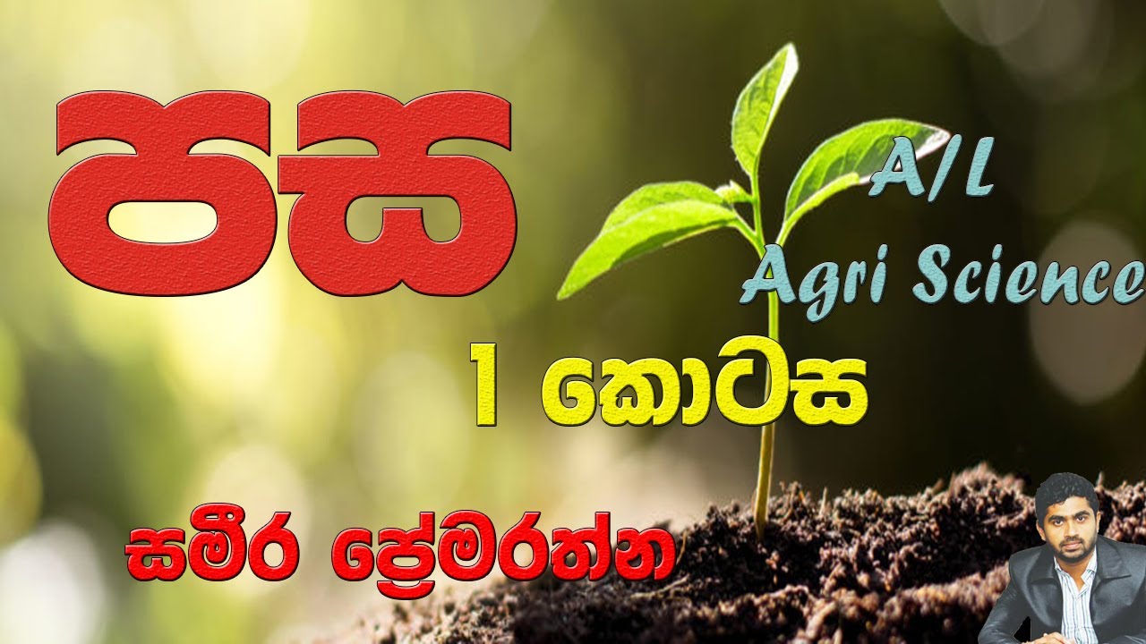 Soil Part 1 new