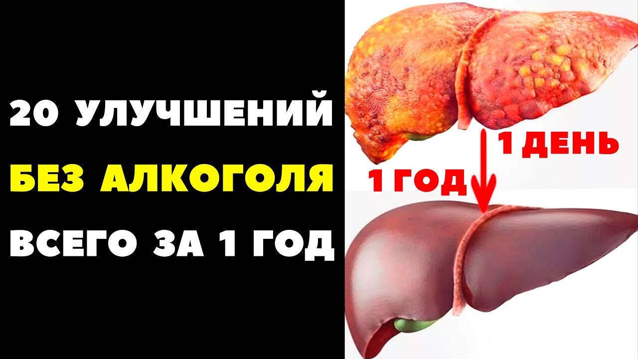 ✅ БРОСИЛ ПИТЬ - что изменилось? 20 УЛУЧШЕНИЙ за 1 ГОД БЕЗ АЛКОГОЛЯ!