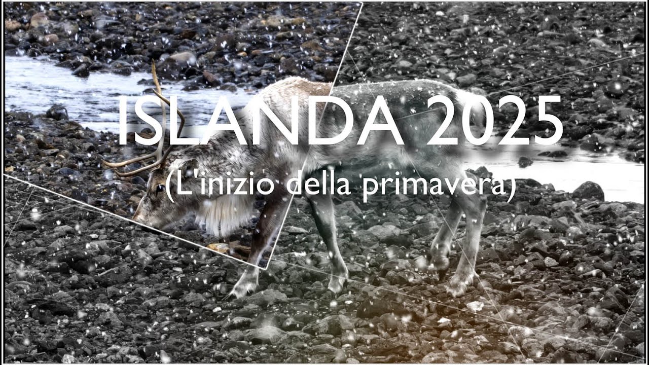 Islanda 2025 (Il ritorno della primavera)
