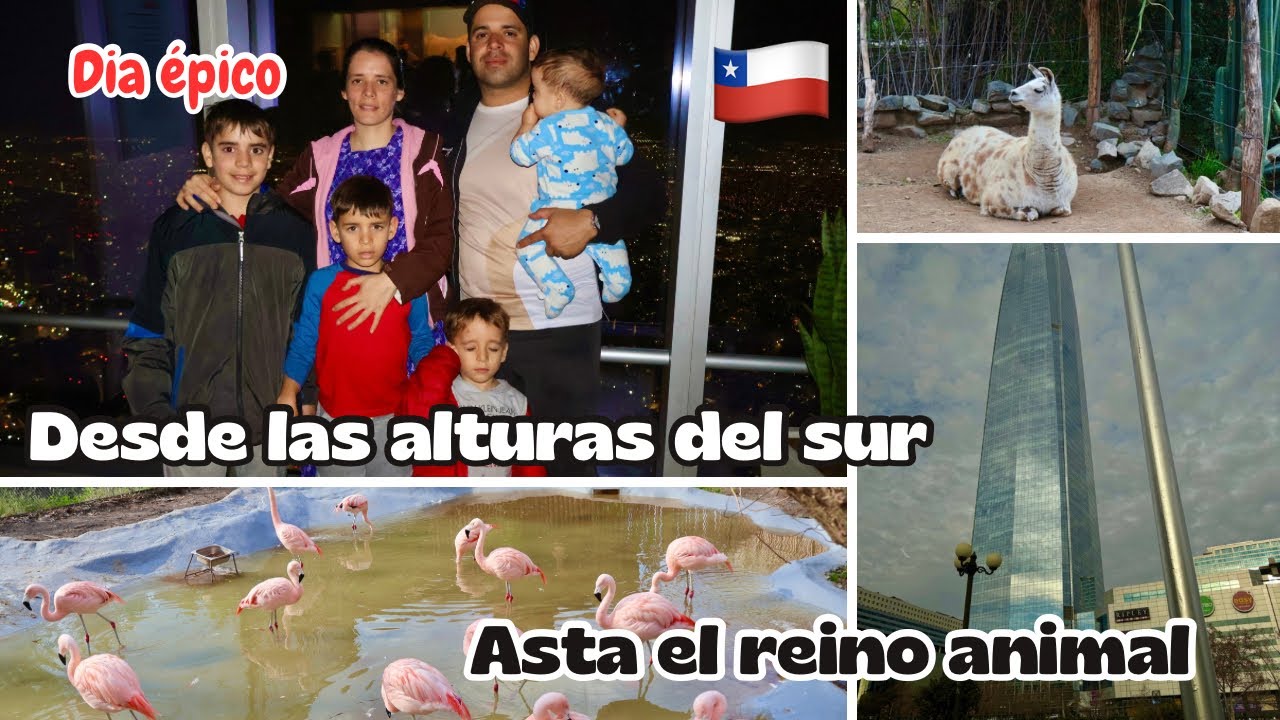 ¡Subimos al edificio MÁS ALTO de Sudamérica y terminamos en un ZOOLÓGICO! 😱🐒”