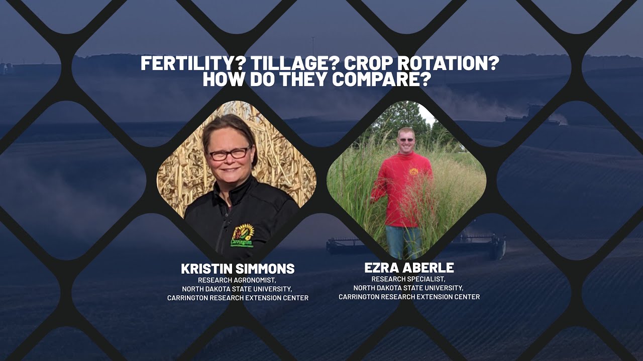 Fertility? Tillage? Crop Rotation? How do They Compare?