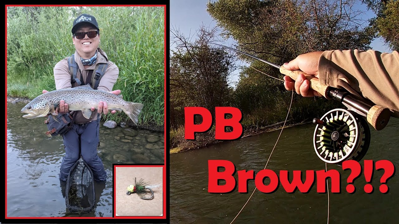 The Biggest Brown Trout I've Caught in Utah - Weber River Fly Fishing