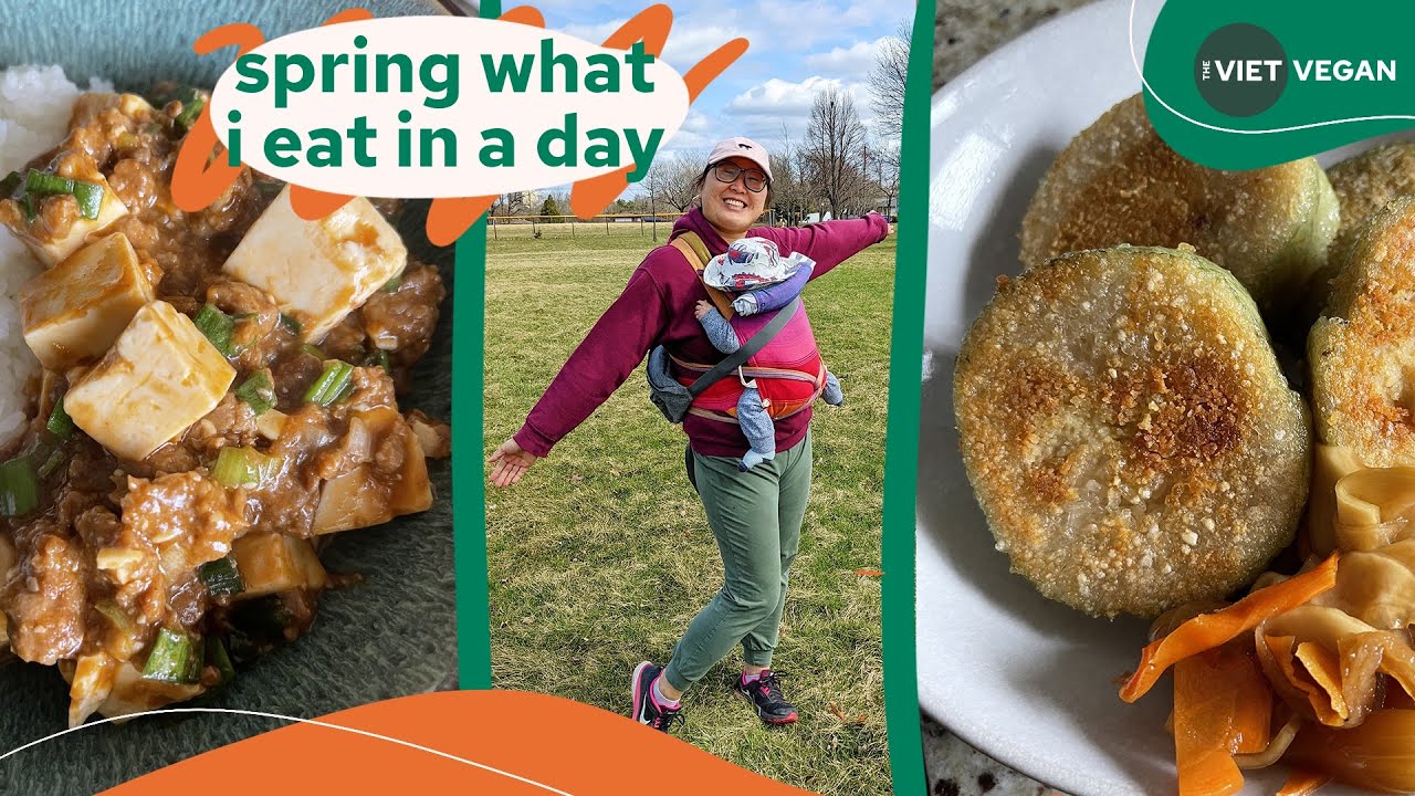 spring what i eat in a day // bánh tét chay, mapo tofu, tomato egg stew