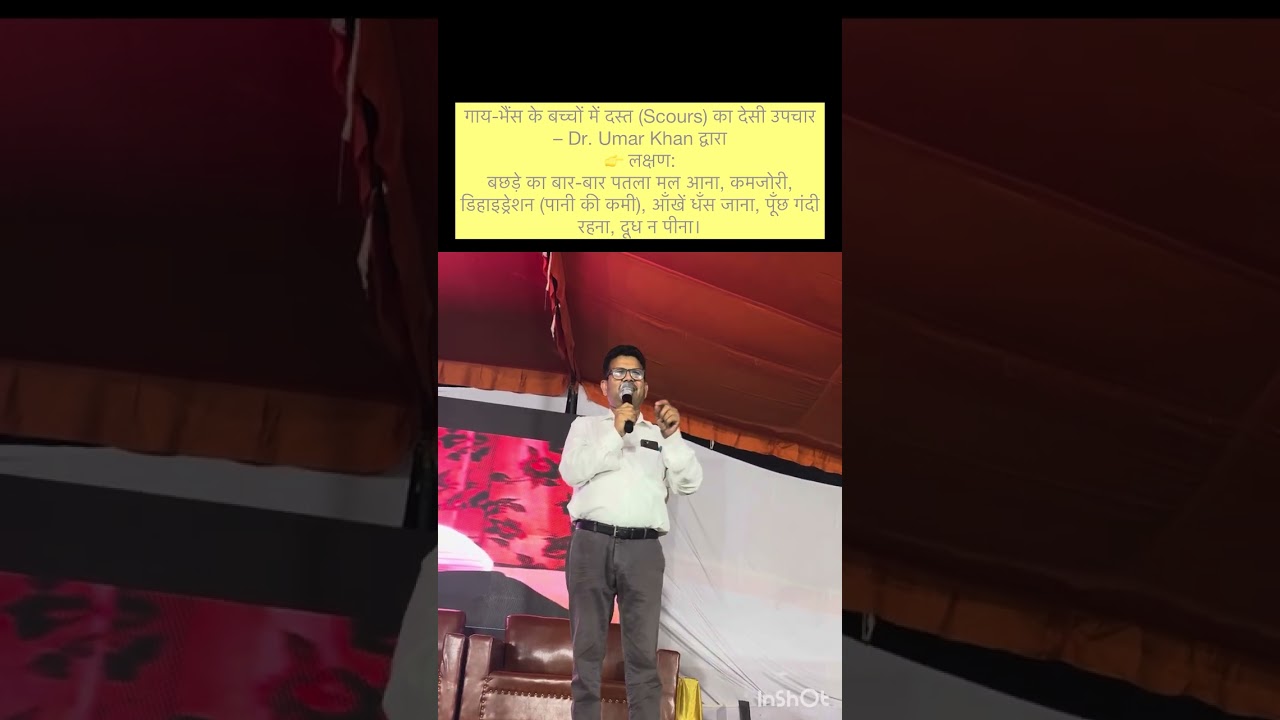 Treatment of diarrhoea l white score l dr Umar Khan
