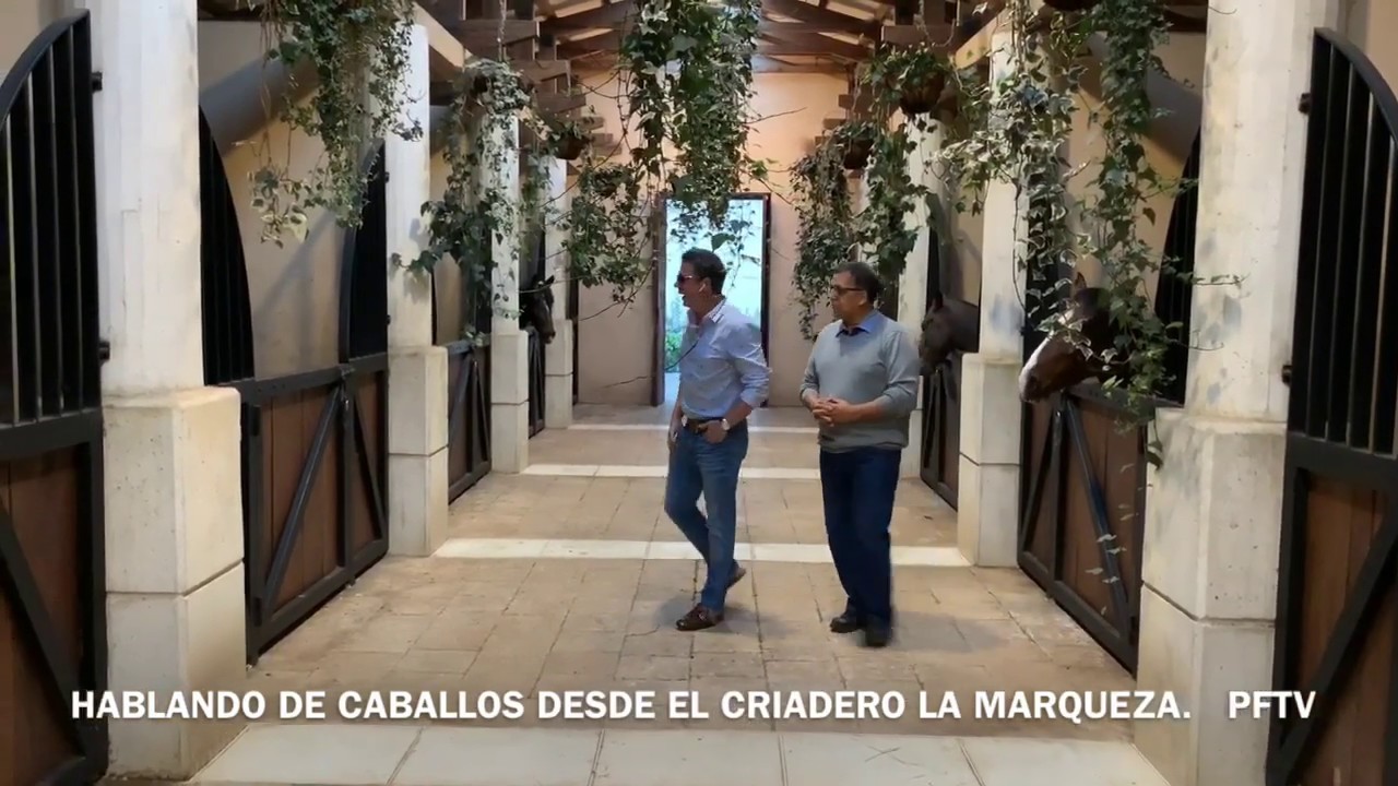 Desde Las Pesebreras del Criadero La Marqueza