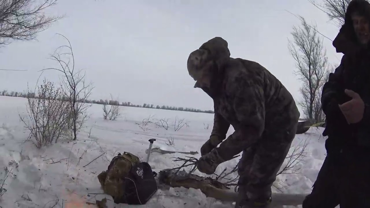 Охота на зайца! Казахстан! Один охотничий день! #охотаназайца #тоз#hunting