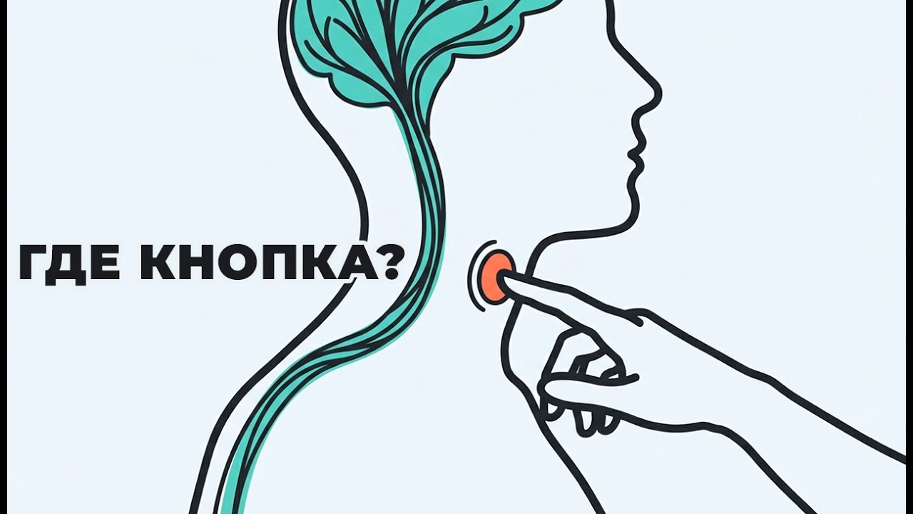 Этот нерв управляет твоим мозгом. Ты даже не знал, что он существует