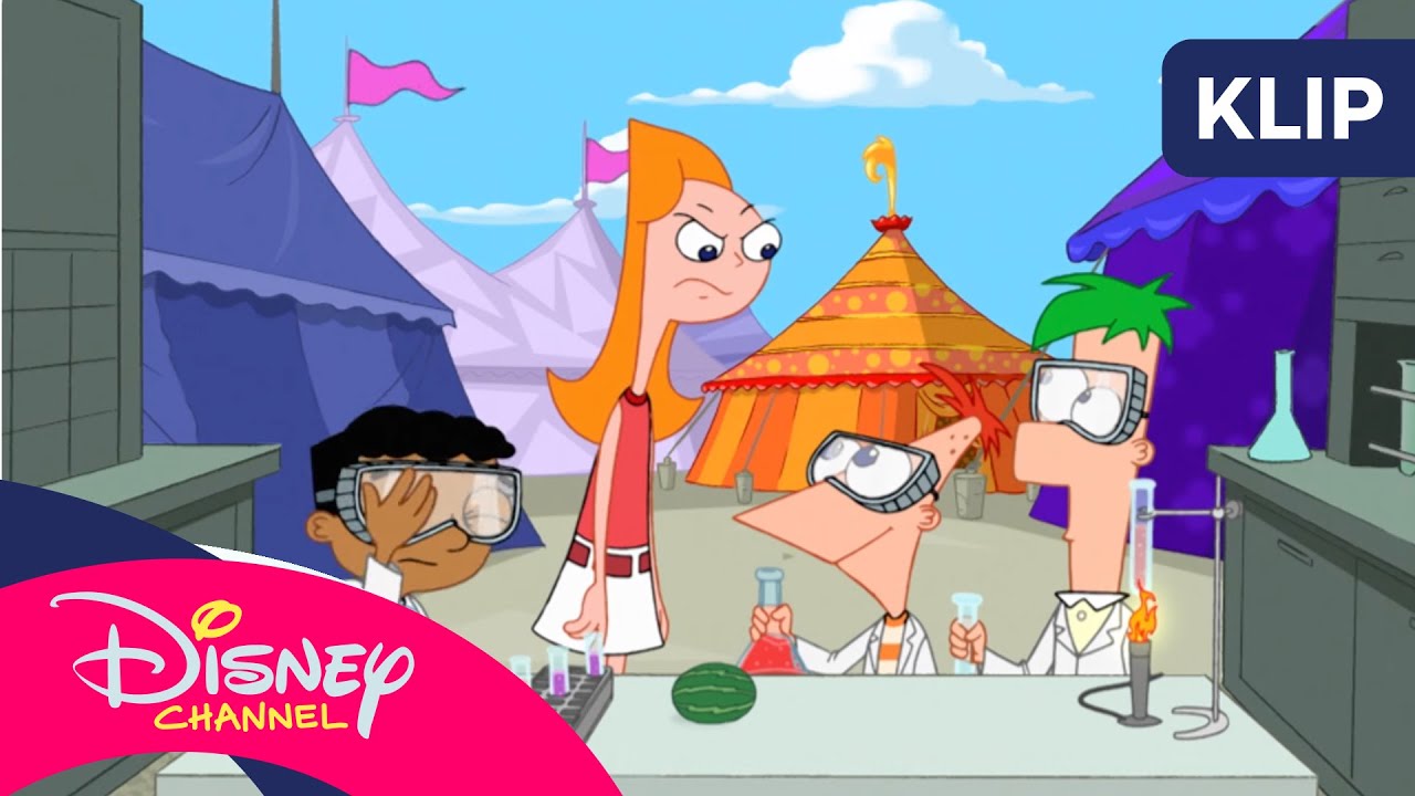 🍅 Festyn warzywny | Fineasz i Ferb | Disney Channel Polska