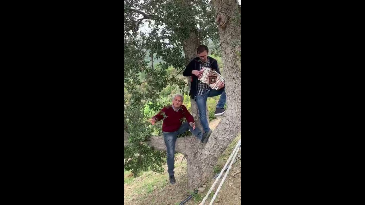 Tarantella del soldato - Rocco e Pasquale