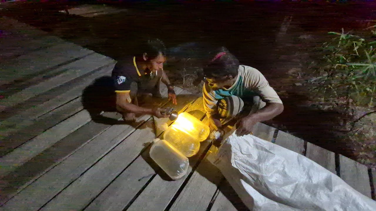 MALAM-MALAM TEBAR IKAN DI KOLAM PAK EKO & PAK WANI; KABAR PETANI RANTAU KALIMANTAN UTARA