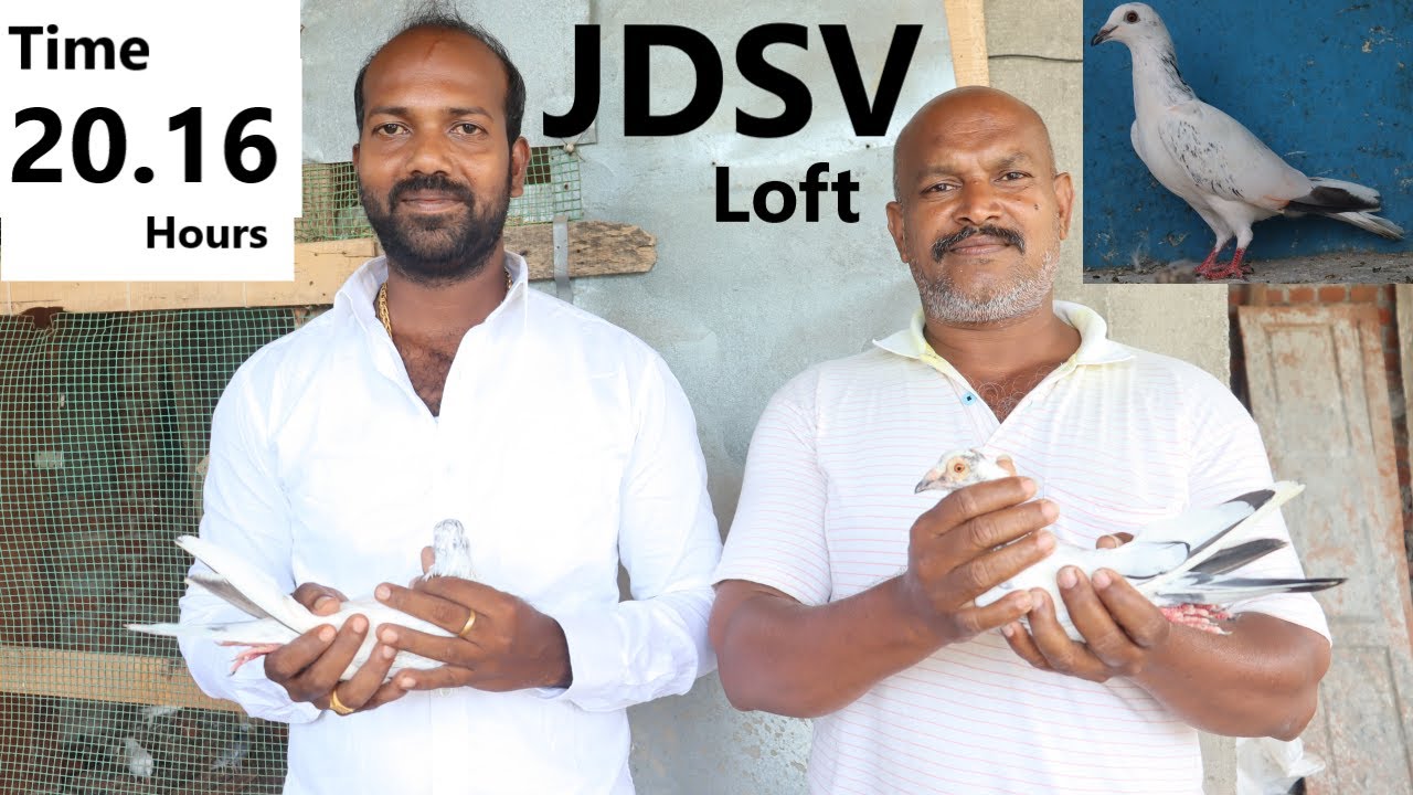 JDSV Loft- Time:20.16 hrs