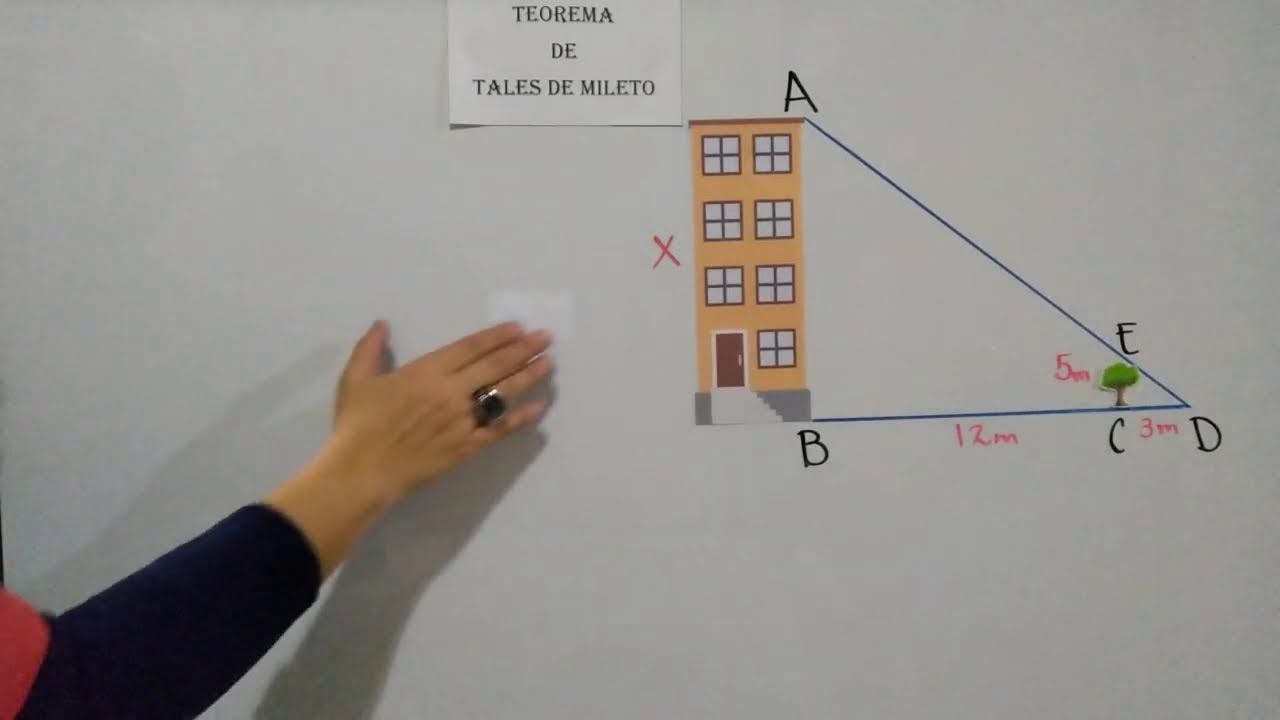 Matemáticas 24 horas en vivo | Aprende paso a paso