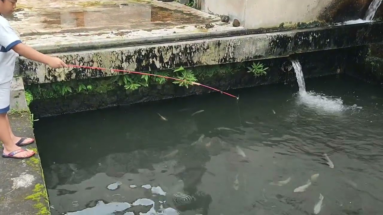 MANCING LAGI..SAMPE PATAH JORANNYA.MANTAPP!!