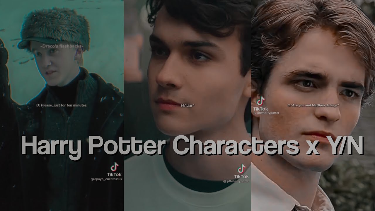 Harry Potter Characters x Y/N TikTok POV