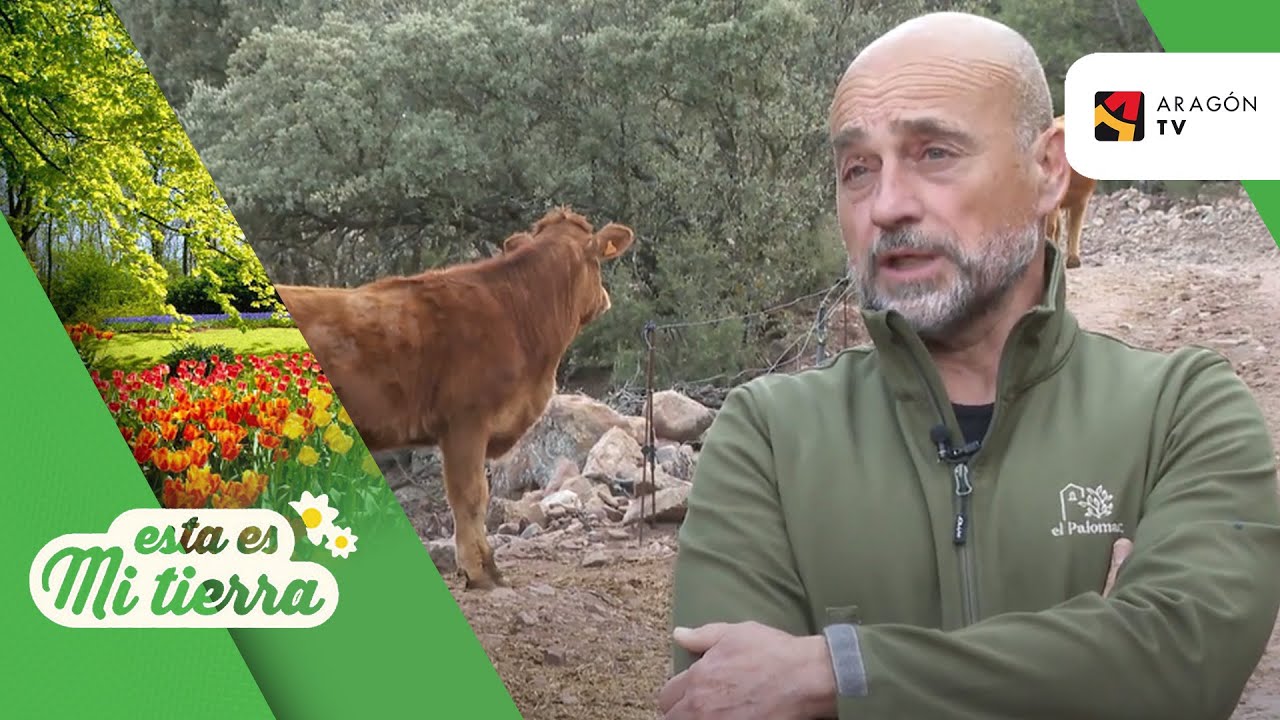 Un nuevo proyecto de vida rural en Cabra de Mora
