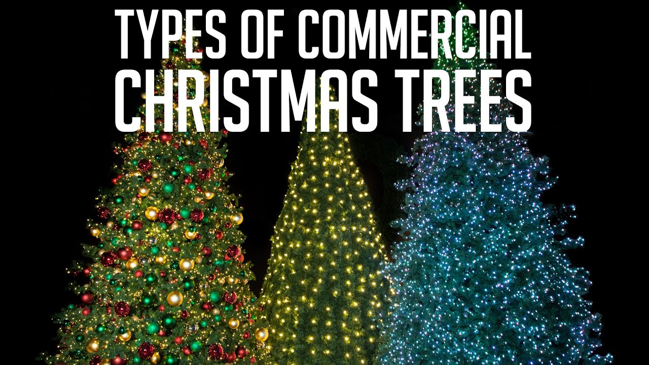 Types of Commercial Christmas Trees