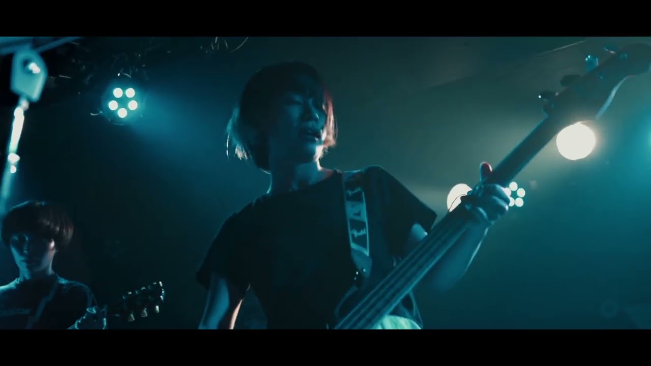 Fennel live 