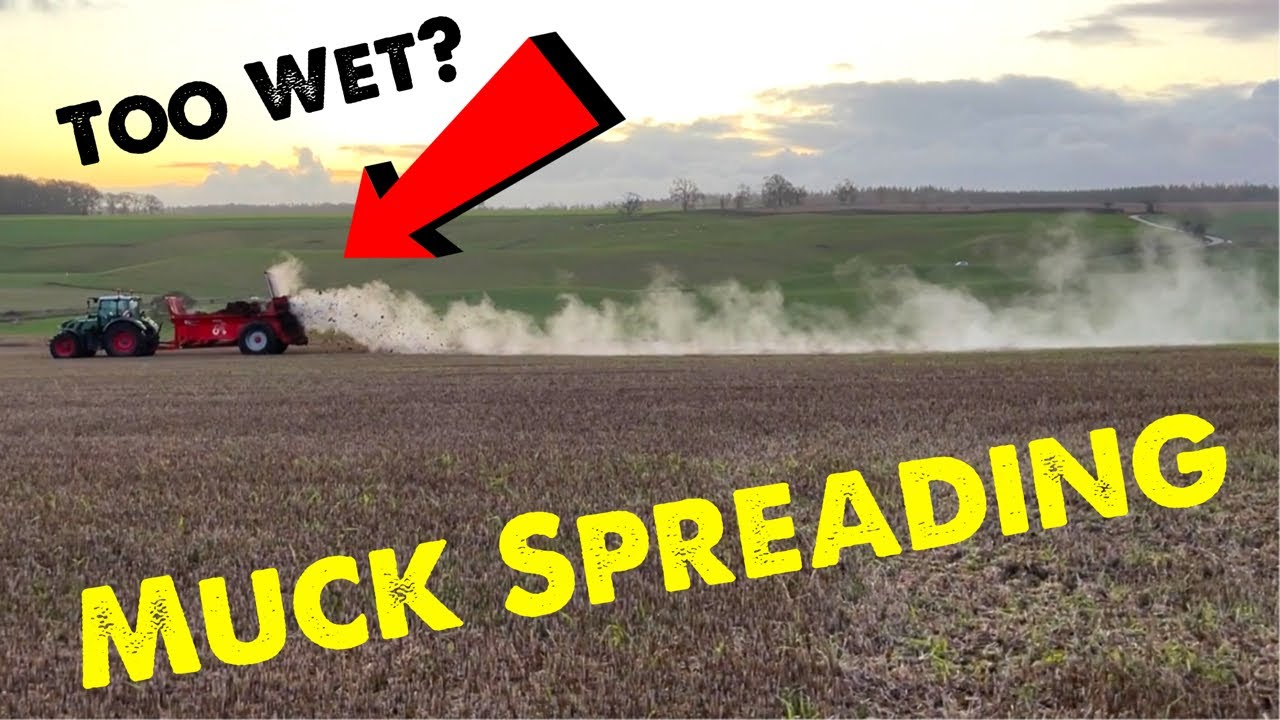 Big Steamy Muck Spreading