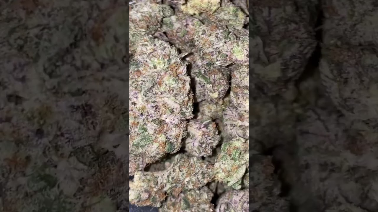 Purple kush
