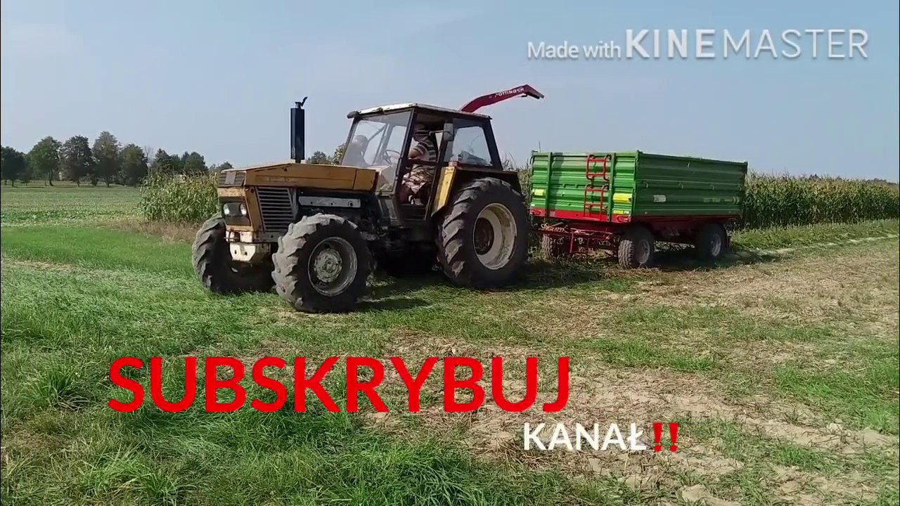 Mega Akcja!!! Kiszonka z QQ 2018( URSUS x 3, MTZ 920.2, Sieczkarnia POTTINGER Mex|||)[Mafia PZG]