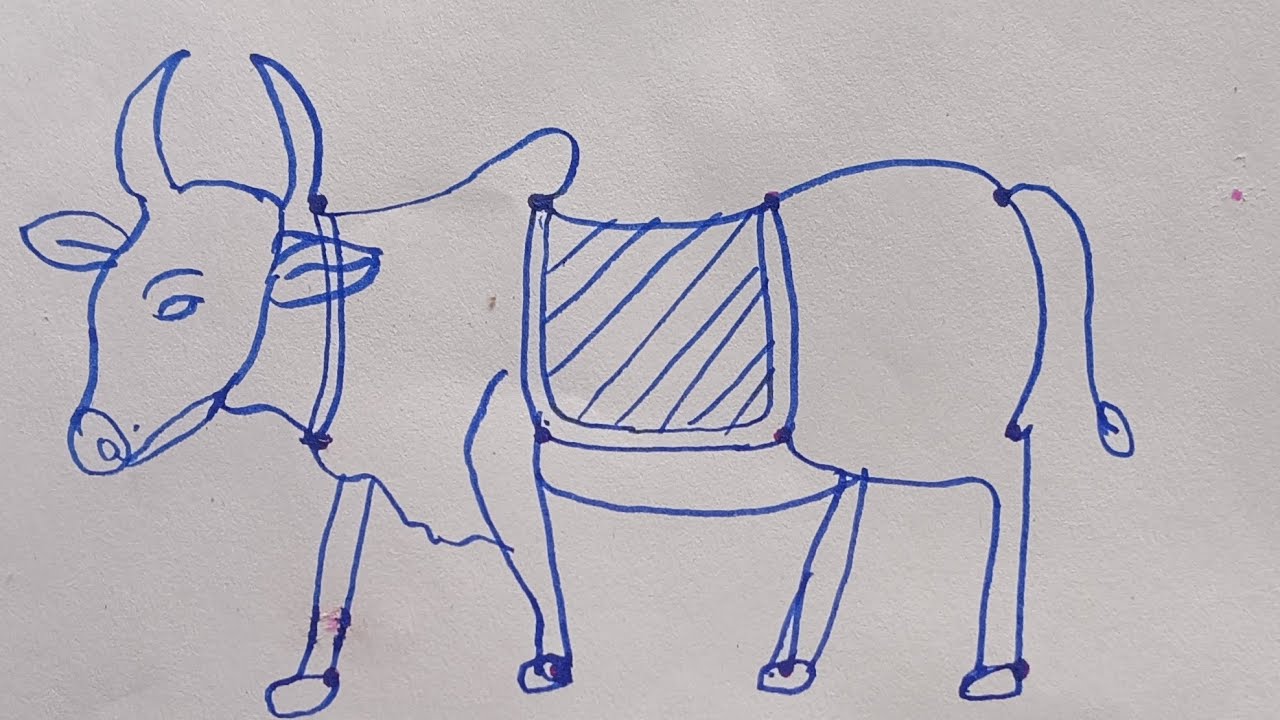 மாட்டு பொங்கல் கோலம் #kolam#pongal #trending #trendingshorts #video #cow#drawing 