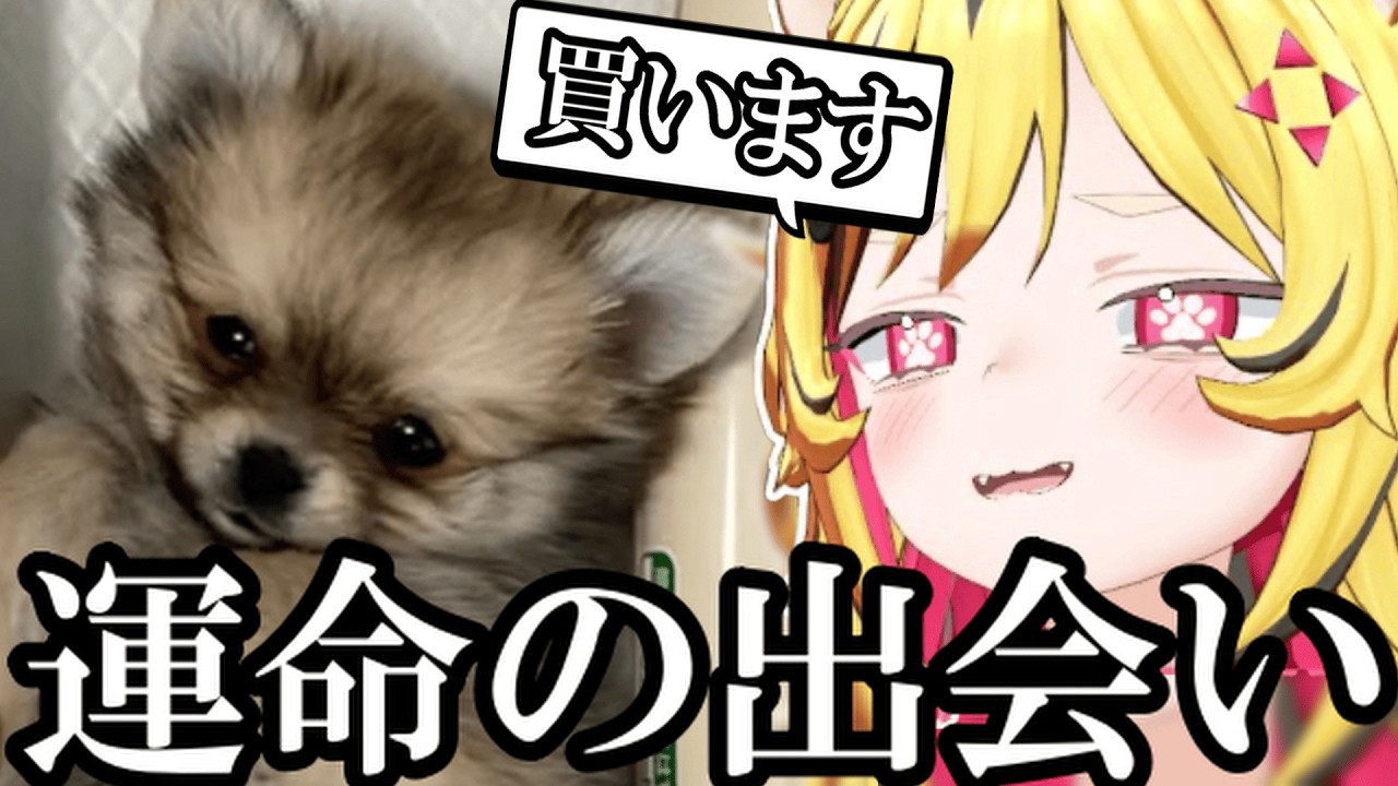 【AI切り抜き】トラ、イヌを飼う【あおぎり高校/うる虎がーる】