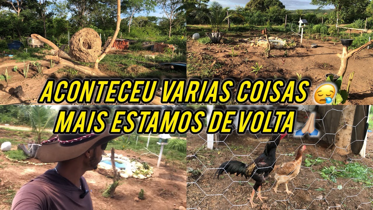 Tive prejuízo mais estamos por cá🙏🏼